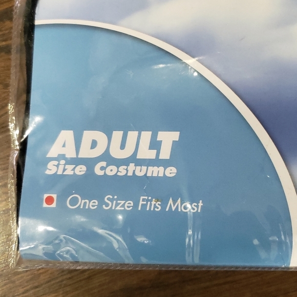 Spirit Halloween Adult Missionary Costume | One Size Fits Most - Picture 8 of 10